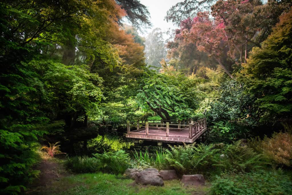 botanical garden wedding at moon viewing garden