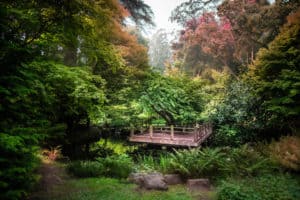 botanical garden wedding at moon viewing garden