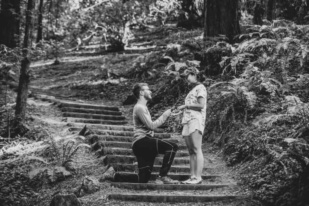 muir woods proposal photography