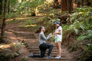 muir woods canopy view proposal