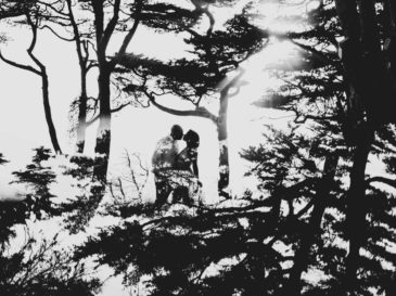 {{brizy_dc_image_alt entityId=