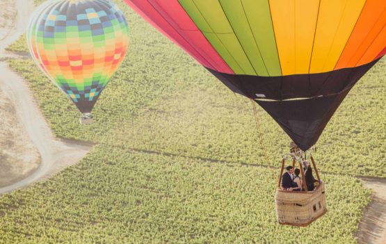 Wine Country Elopement Guide {{brizy_dc_image_alt imageSrc=